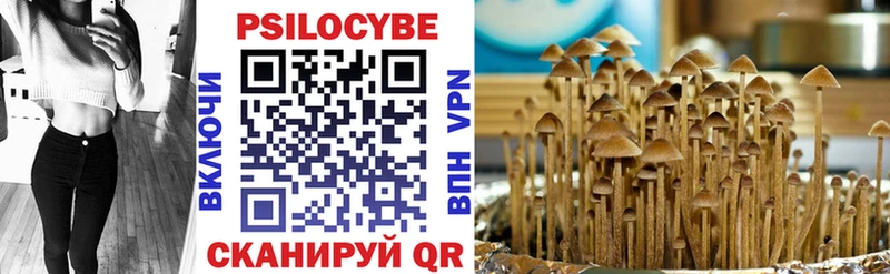 Галлюциногенные грибы GOLDEN TEACHER  Купить  Карпинск 